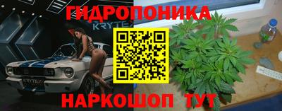 Альфа ПВП Моздок