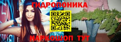 Альфа ПВП Моздок