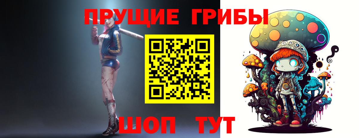 Псилоцибиновые грибы прущие грибы  Вход с VPN  Александров 